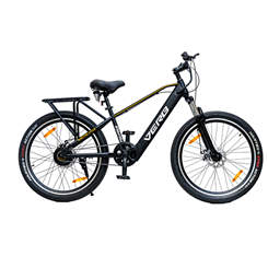 Fighter E-Cycle Male